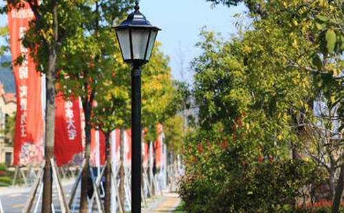漳县装庭院灯避坑指南：庭院路灯防雷接地要点